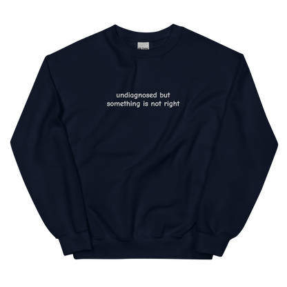 UNDIAGNOSED BUT SOMETHING IS NOT RIGHT SWEATSHIRT (FRONT EMBROIDERY)