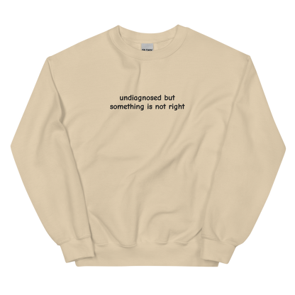 UNDIAGNOSED BUT SOMETHING IS NOT RIGHT SWEATSHIRT (FRONT EMBROIDERY)