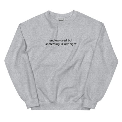 UNDIAGNOSED BUT SOMETHING IS NOT RIGHT SWEATSHIRT (FRONT EMBROIDERY)